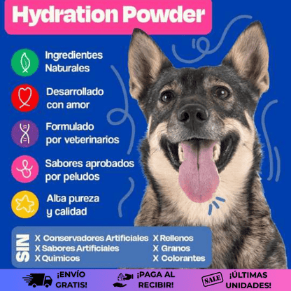 DogHealthy™| Suero hidratante para tu mascota