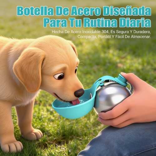 Encabezado