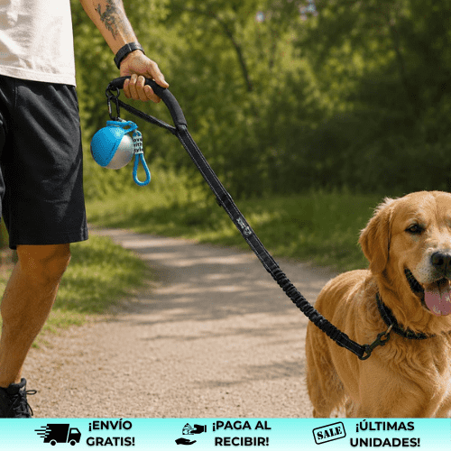 BottleDog® | Botella de agua para mascotas de acero inoxidable