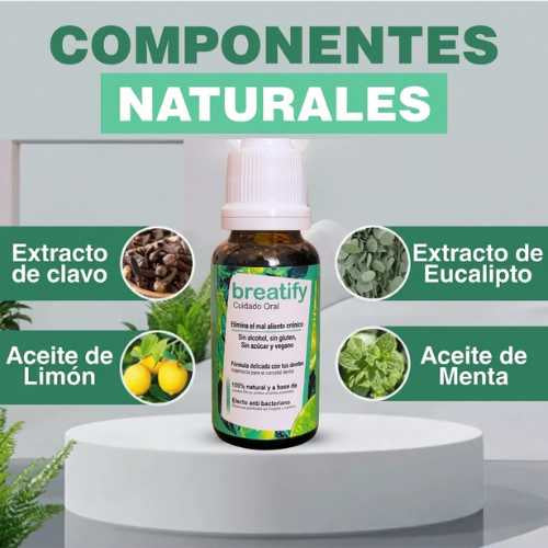 Encabezado