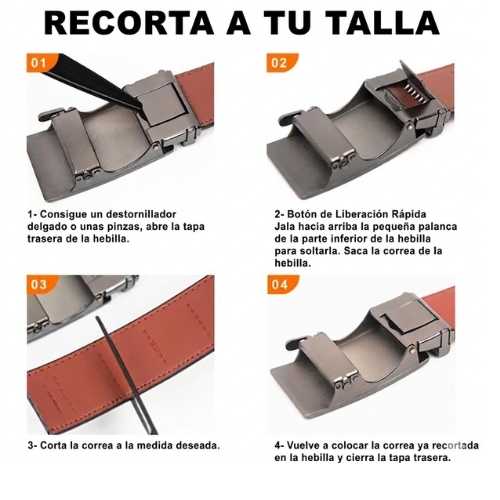 Encabezado