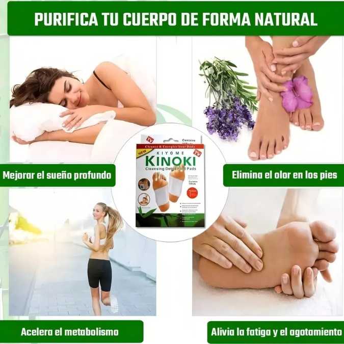 Encabezado