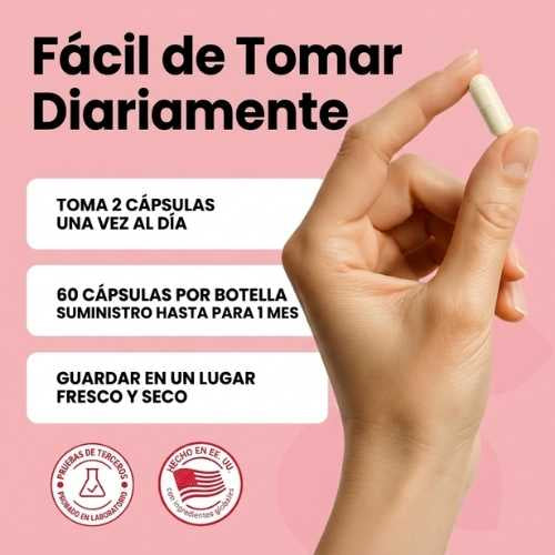 Encabezado