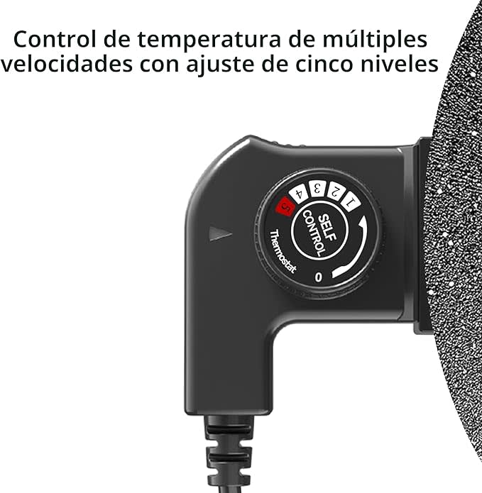Encabezado