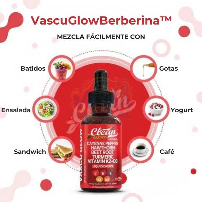 Encabezado