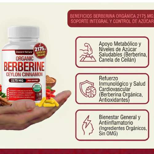 Encabezado