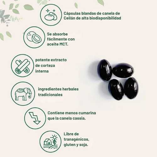 Encabezado