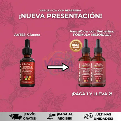 VascuGlowBerberina™ + eBook Profesional | Reduce tus niveles de azúcar en sangre y toma el control total de tu cuerpo